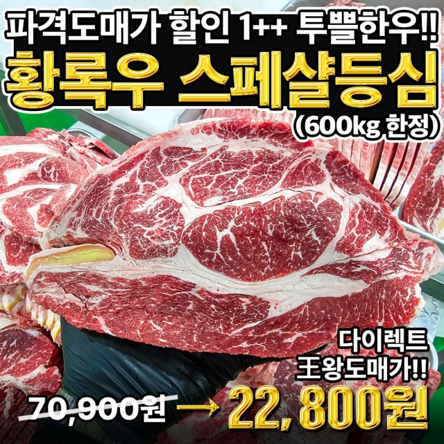 (600kg한정) 단골특별 쎄일 1++투뿔!! 입에서 살살 녹는 황궁한우 1++ 스페샬등심 (넘버9~7등급)