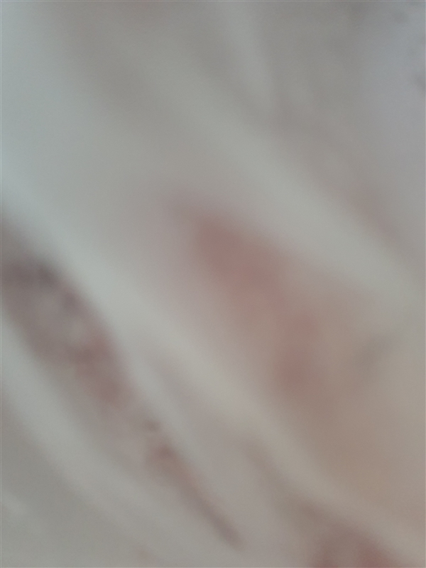 20260430104106712_20260430_102523.jpg